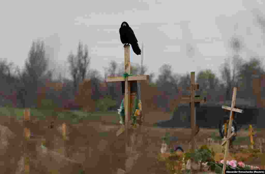 Повідомляється, що від 24 лютого, коли Росія розпочала широкомасштабну війну проти України, на Старокримському кладовищі в Маріуполі викопали  понад 4600 могил