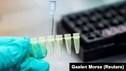 Фахівці стверджують, що цей варіант вірусу має більшу контагіозність, ніж штам «дельта»