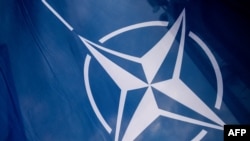 Нині членство в НАТО підтримує рекордна кількість українців. Згідно з опитуваннями громадської думки, 83 відсотки населення за членство в альянсі