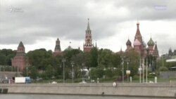 Выборы в России Выборы в России