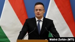 «Але на знак конструктивності ми візьмемо участь у зустрічі», додав голова МЗС Угорщини