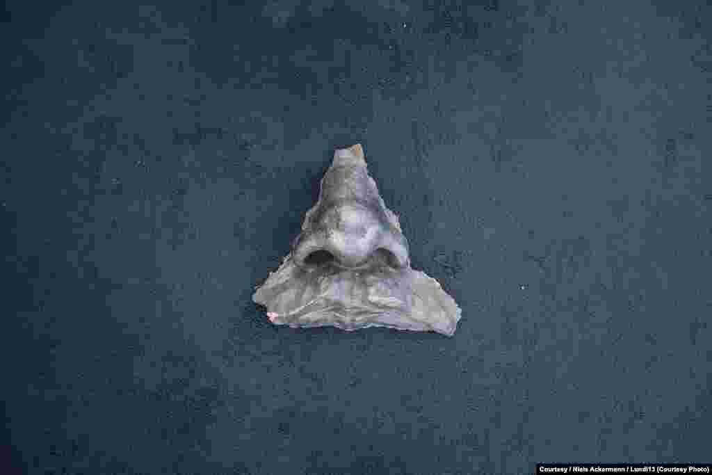 Ніс від пам'ятника Леніну, який стояв на площі «Свободи» у Харкові, був включений у 2015 році до експонатів виставки в PinchukArtCentre під назвою «Відновимо голову Леніна разом!» від художниці Євгенії Бєлорусець