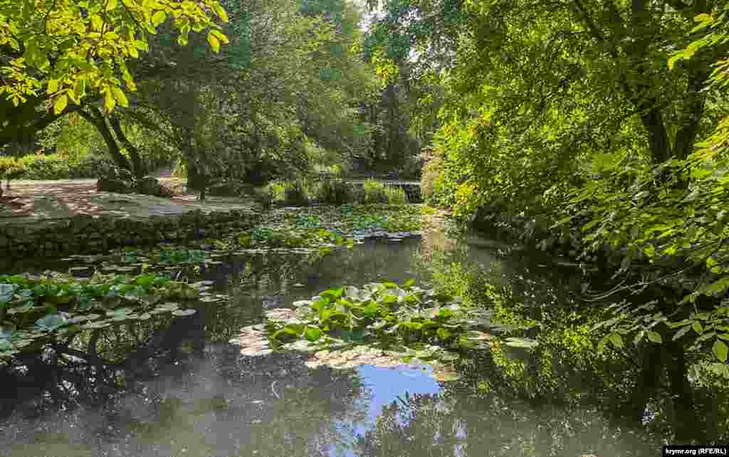 В первом садовом пруду в каскаде из трех водоемов уровень воды заметно упал. Симферополь, середина июля 2024 г.