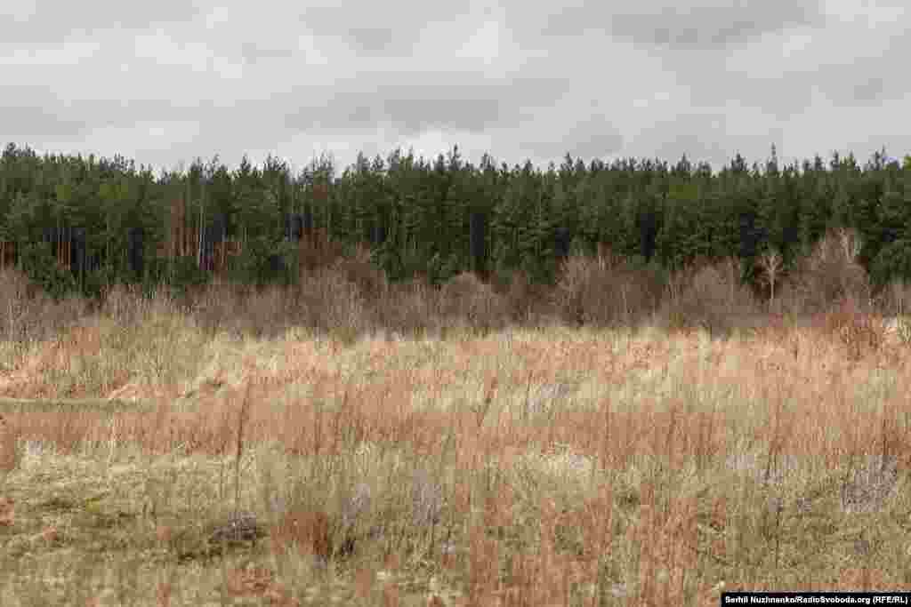 Знищена російська техніка на околиці села Тетерівського, Київщина, березень 2022 року / Фото від березня 2024 року: російську техніку вивезли, а спалена війною земля повільно заростає 