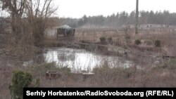 Закинутий став на території страусиної ферми у Ямполі