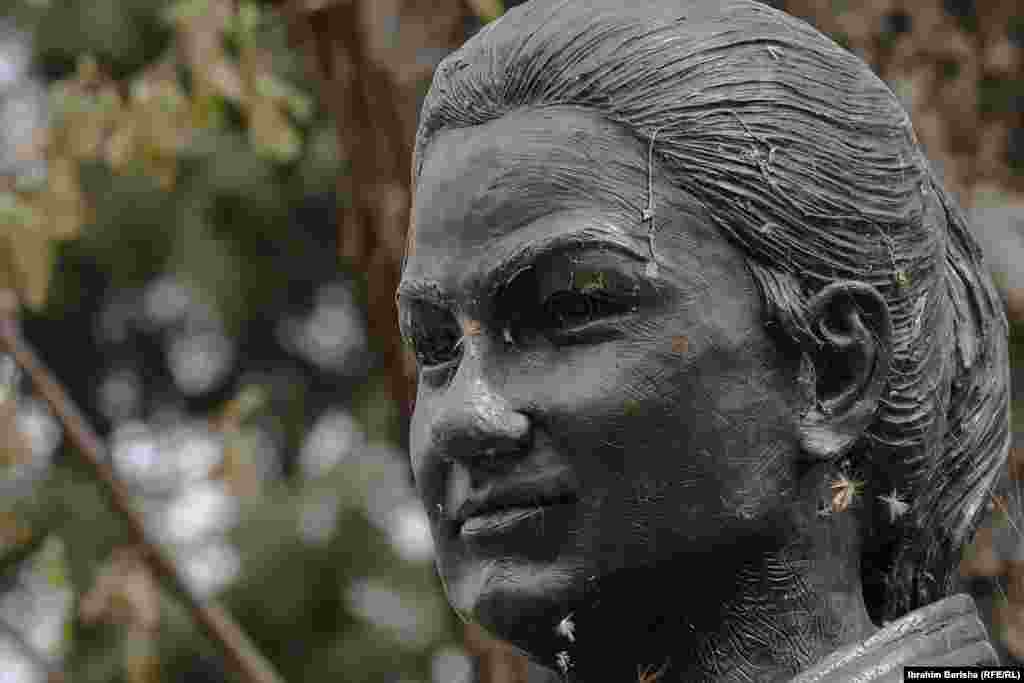 Nakon inauguracije, uslijedili su različiti komentari uključujući i kritike na račun veličine statue te da ne podsjeća na džudisticu.