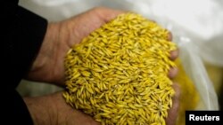 Зерно – ходовий товар на міжнародному ринку