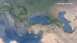 Что позволила сделать черноморская зерновая инициатива Что позволила сделать черноморская зерновая инициатива