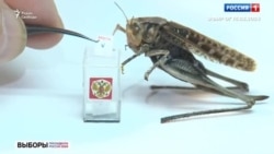 Кринж до и после выборов Кринж до и после выборов