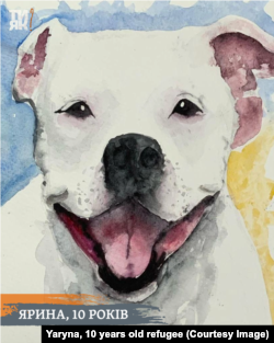 Пес Адік з Азовсталі, зображений на малюнку десятирічної біженки