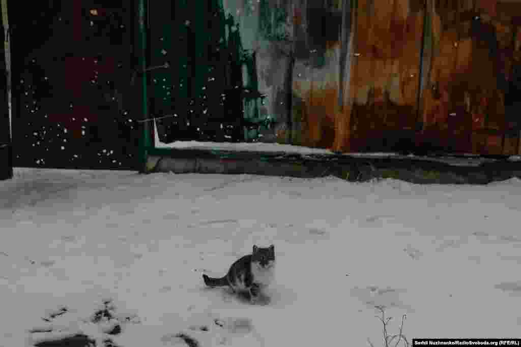 «Люди живуть у металевих вагонах, просять привезти їм дров, кругом ліс, ліс вивозять «фурами», а місцевим не можуть дров привезти», – скаржиться місцевий житель. «Держава нічого нікому не робить», – каже він у розмові з нами