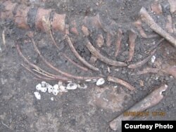 Поховання, знайдене під Волновахою