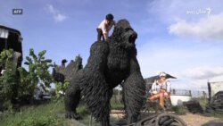 د کمبوډيا هنرمند له ټايرونو لوی ګوریلا جوړ کړی دی
