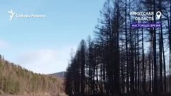 Жизнь вдали от цивилизации: абсолютно свободные Жизнь вдали от цивилизации: абсолютно свободные