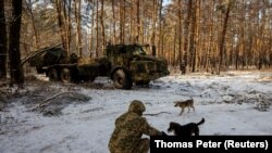 Хвостаті помічники ЗСУ (фото)