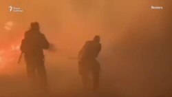 Лесные пожары в России Лесные пожары в России