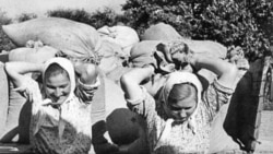 1964–1974: як радянські колгоспники отримали державні пенсії та паспорти | Історична Свобода  1964–1974: як радянські колгоспники отримали державні пенсії та паспорти | Історична Свобода