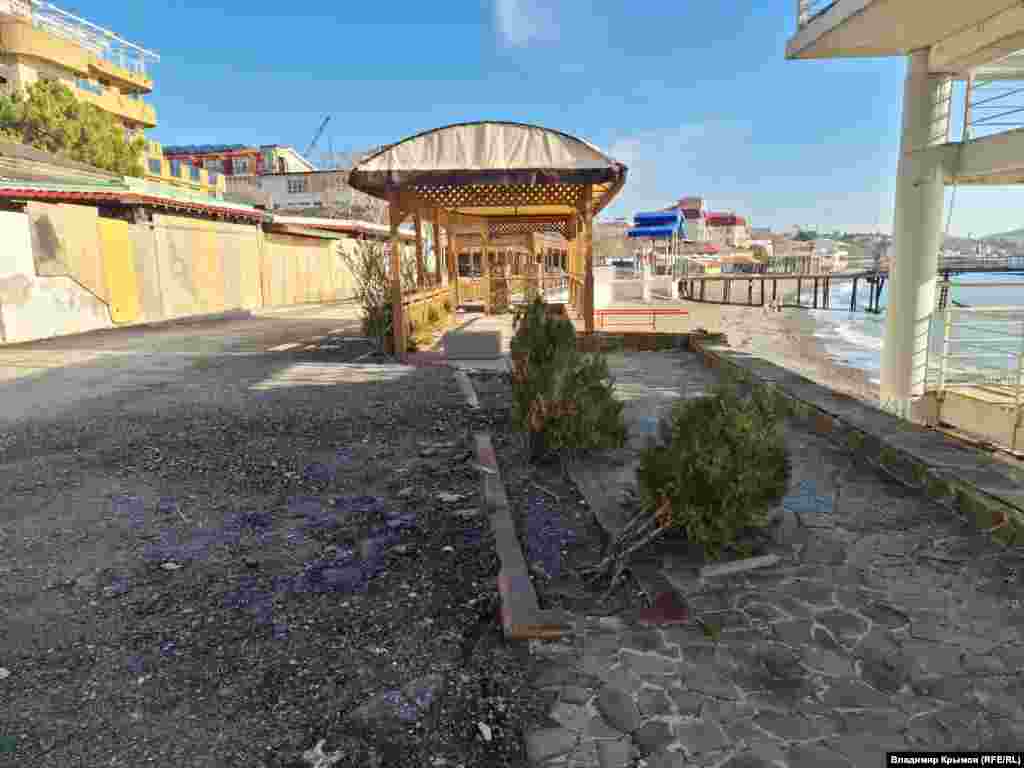 Пострадали и зеленые насаждения от «шторма века»