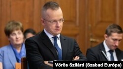 Петер Сійярто заявив, що зустріч не відбулася через те, що Порошенка не випустили з країни