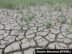 Висохле Каховське водосховище