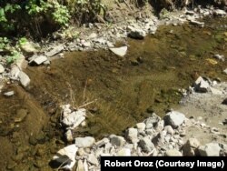 Rijeka Trstionica u ljetnom periodu, juli 2022.