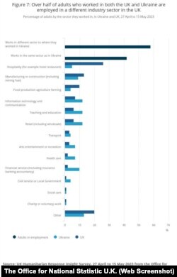 Більше від половини українців у Великій Британії працюють в іншому галузевому секторі