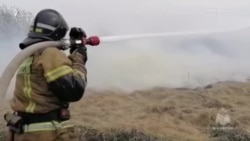 Лесные пожары в России Лесные пожары в России