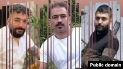 Majid Kazemi, Saleh Mirhashemi, and Saeid Yaqoubi were implicated in an incident on November 16, 2022, during which two Basij paramilitary force members and a law enforcement officer were fatally shot in the central Iranian city of Isfahan.