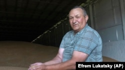 «Вижити і втриматися на плаву»: як війна і російська блокада портів б'є по українських фермерах