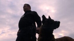 Cezar na granici Bosne i Hercegovine Cezar na granici Bosne i Hercegovine