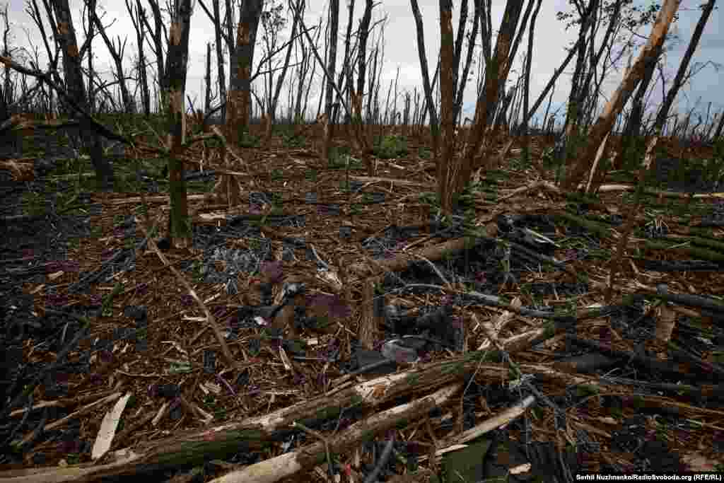Ті, кого прислали зі зброєю завойовувати чужу землю – у ній і залишилися