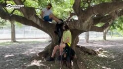 Как Аргентина превратилась в популярное направление для квир-эмиграции из России. История гей-пары из Сибири Как Аргентина превратилась в популярное направление для квир-эмиграции из России. История гей-пары из Сибири