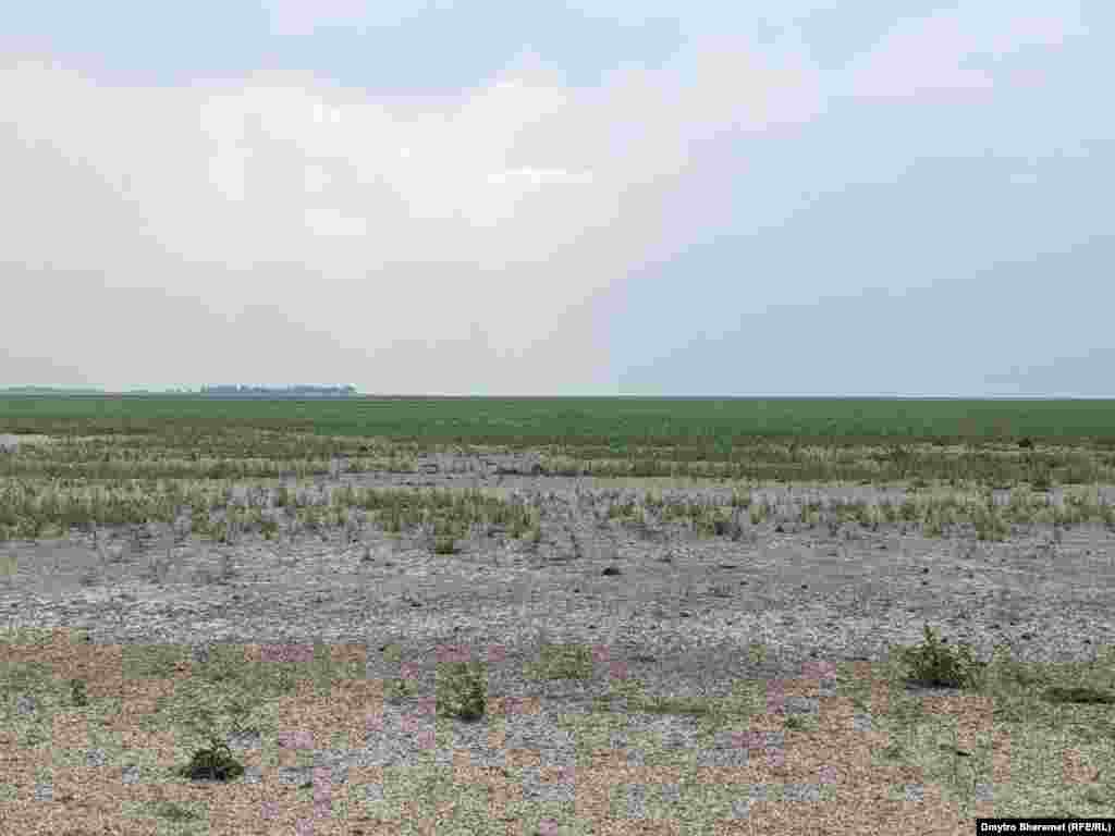 Внаслідок руйнування контрольованої російськими окупаційними військами Каховської ГЕС виникли проблеми зі зрошуванням та питною водою в населених пунктах, розташованих поруч з водосховищем.  