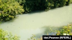 Река Казанка после загрязнения отходами молочного производства. Фото одного из местных жителей.