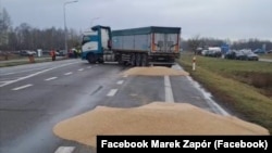 Розсипане учасниками блокування кордону з Україною зерно. Польща, поблизу пункту пропуску «Дорогуськ-Ягодин». 11 лютого 2024 року