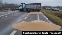 Польща. Розсипане учасниками блокування кордону з Україною зерно. Поблизу пункту пропуску «Дорогуськ-Ягодин», 11 лютого 2024 року