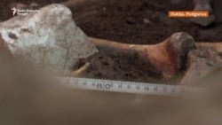 Neočekivano arheološko otkriće kod Podgorice: 'Životinjska sahrana' Neočekivano arheološko otkriće kod Podgorice: 'Životinjska sahrana'