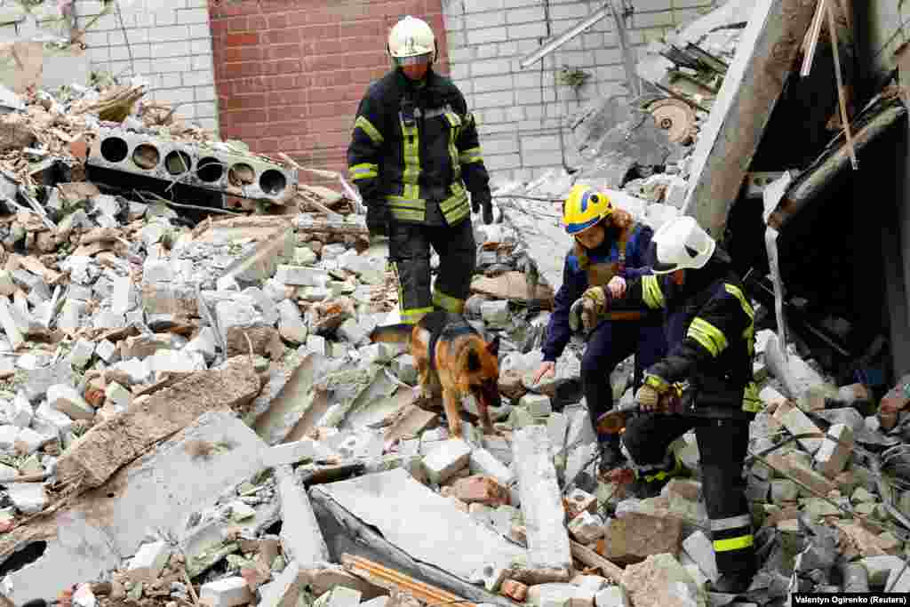 Рятувальники разом із собакою шукають зниклих безвісти серед руїн будинку, в який влучила російська ракета 17 квітня 2024 року. Ракетним ударом була зруйнована восьмиповерхівка, пошкоджені ще чотири багатоповерхівки, лікарня, заклад вищої освіти та десятки авто, повідомила місцева влада