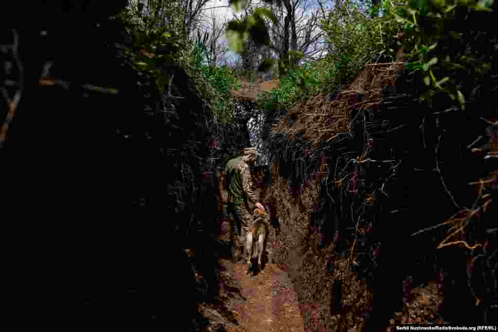 Український військовий й пес Кубик несуть і вдень і вночі варту на передовій російсько-української війни, оберігаючи життя людей у тилу. Позиції ЗСУ, район Красногорівки і Мар’їнки. Донецька область. Травень 2023 року