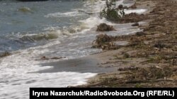 На другу добу після підриву дамби Каховської ГЕС до берегів Одеси почало приносити повалені дерева, побутове сміття, уламки меблів