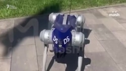 Кринж ПМЭФ Кринж ПМЭФ