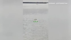 Курган: потоп и радиация Курган: потоп и радиация