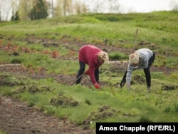 Садівники на роботі, 24 квітня 2023 року