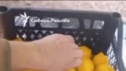 Командир разведроты о поставках протухшей воды и сгнивших продуктов.mp4 Командир разведроты о поставках протухшей воды и сгнивших продуктов.mp4