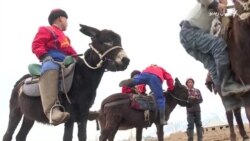 قرغزي ماشومانو لرغونې لوبه "کوک بورو" ژوندۍ ساتلې  قرغزي ماشومانو لرغونې لوبه "کوک بورو" ژوندۍ ساتلې