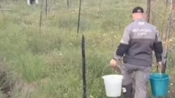 Жители сами тушат пожары на севере Забайкалья, июль 2024 года.mp4 Жители сами тушат пожары на севере Забайкалья, июль 2024 года.mp4