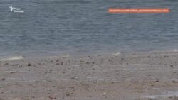 Без води та під обстрілами: які наслідки знищення Каховської ГЕС для Нікопольщини? (відео) Без води та під обстрілами: які наслідки знищення Каховської ГЕС для Нікопольщини? (відео)