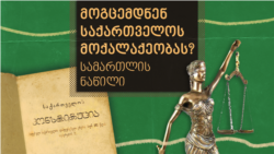 მოგცემდნენ საქართველოს მოქალაქეობას? ტესტი სამართალში