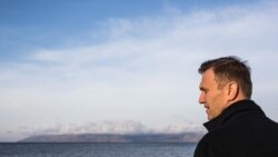 Какова судьба политического и морального наследия Алексея Навального? Какова судьба политического и морального наследия Алексея Навального?