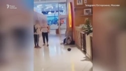 Травля в школах Травля в школах